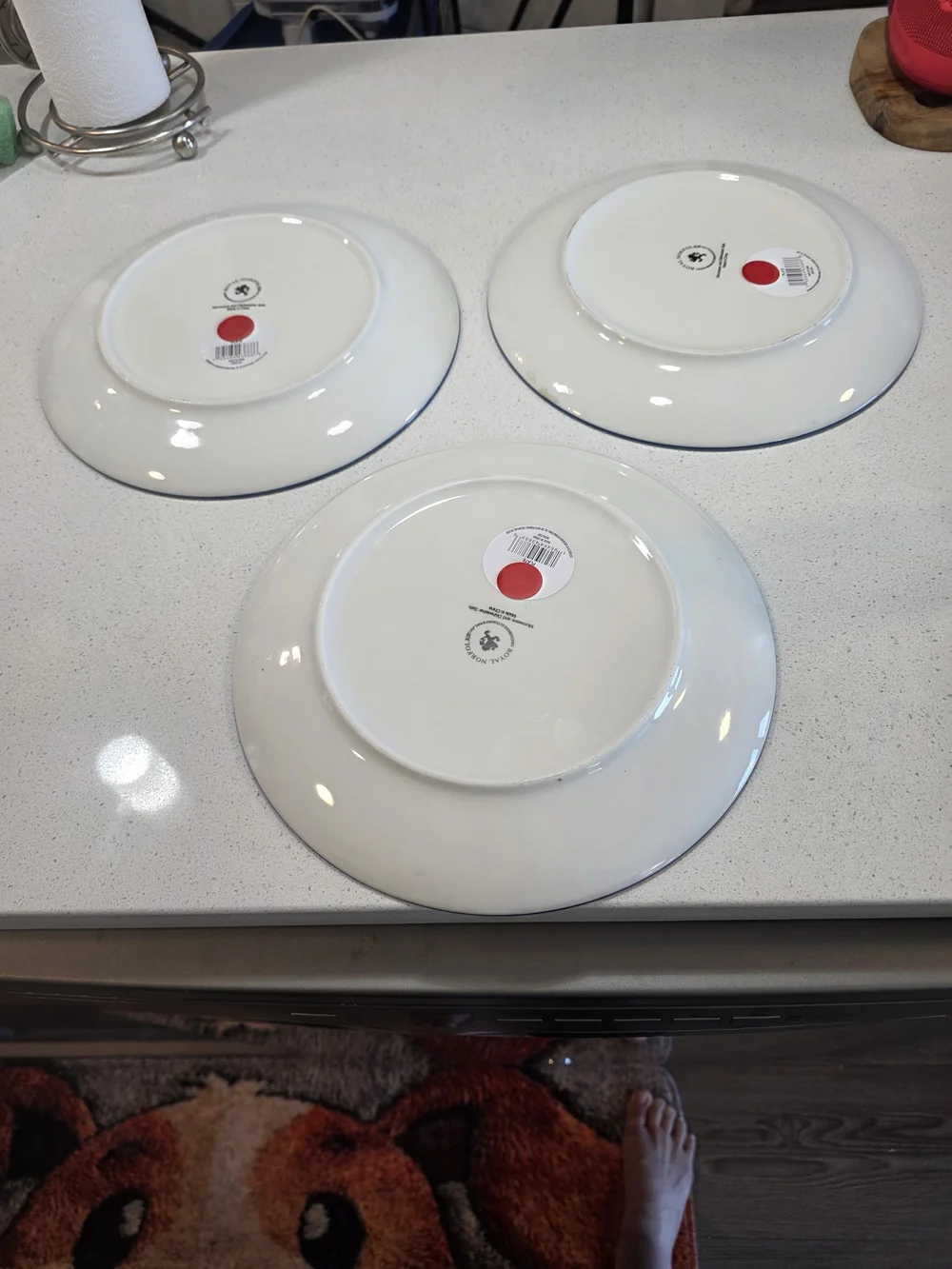 Blue Radial Glaze Dinner Plates - Set of 3